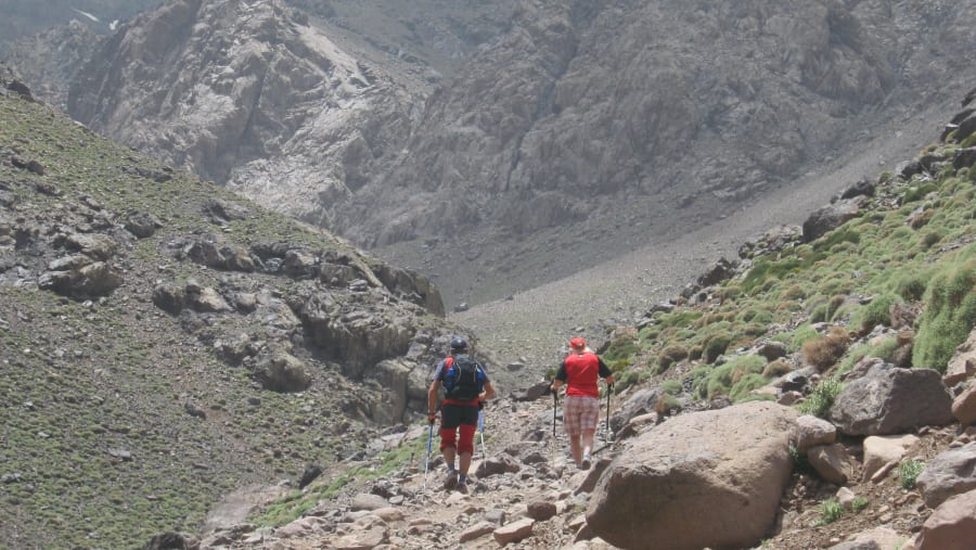 Climbing up for scenic views