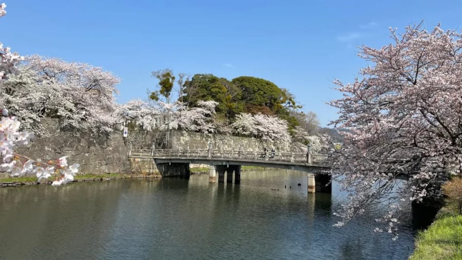 Hikone Castle