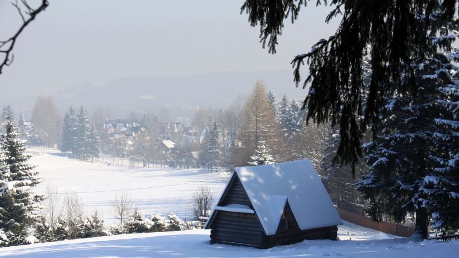 Snow Wonderland