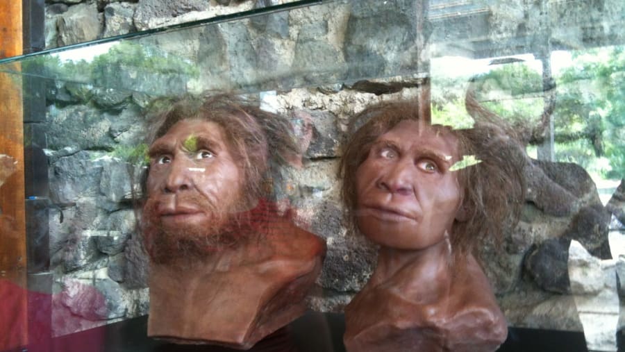 models of the first Europeans