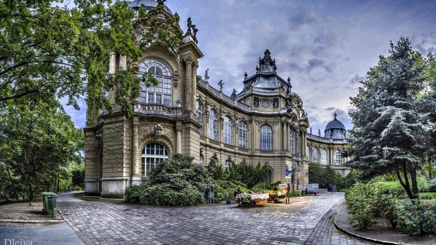 City Park