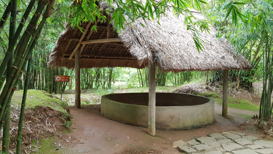Forest Area