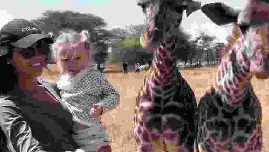 Safari Experience