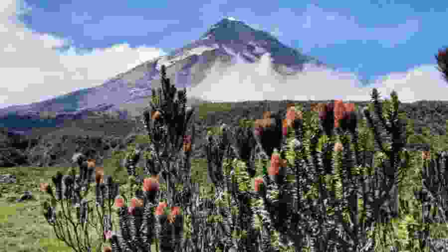 Cotopaxi National Park