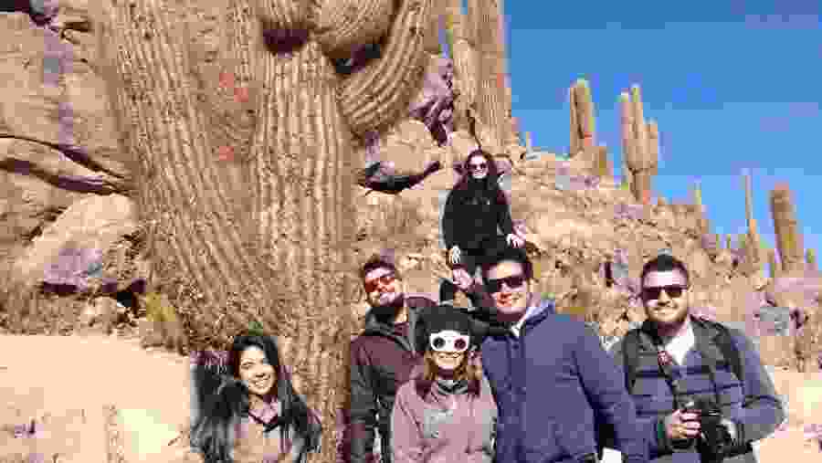 Cactus Valley