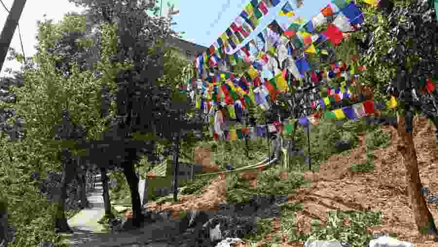 Kora Walk in Dharamshala