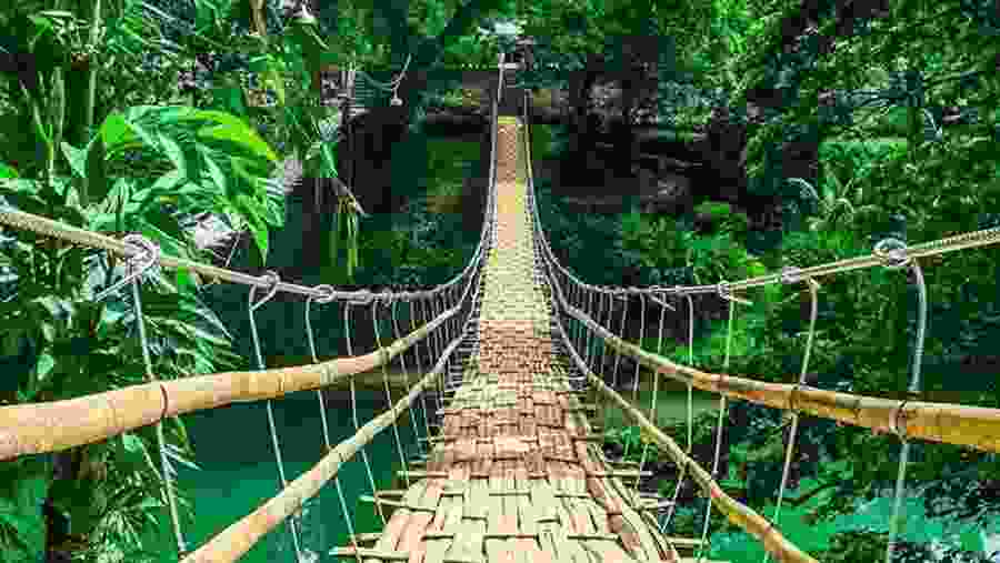 Sevilla Bamboo Hanging Bridge, Bohol Countryside
