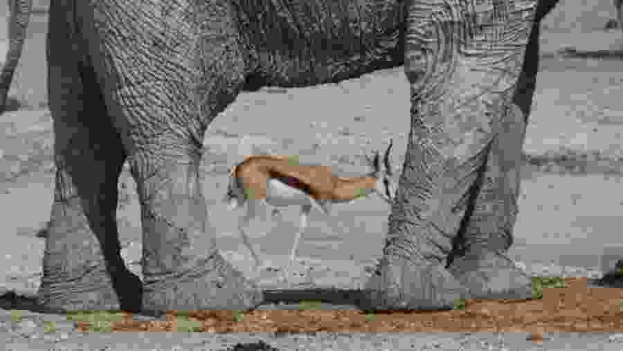 Tarangire National Park