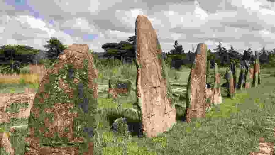 Tiya Stelae Field