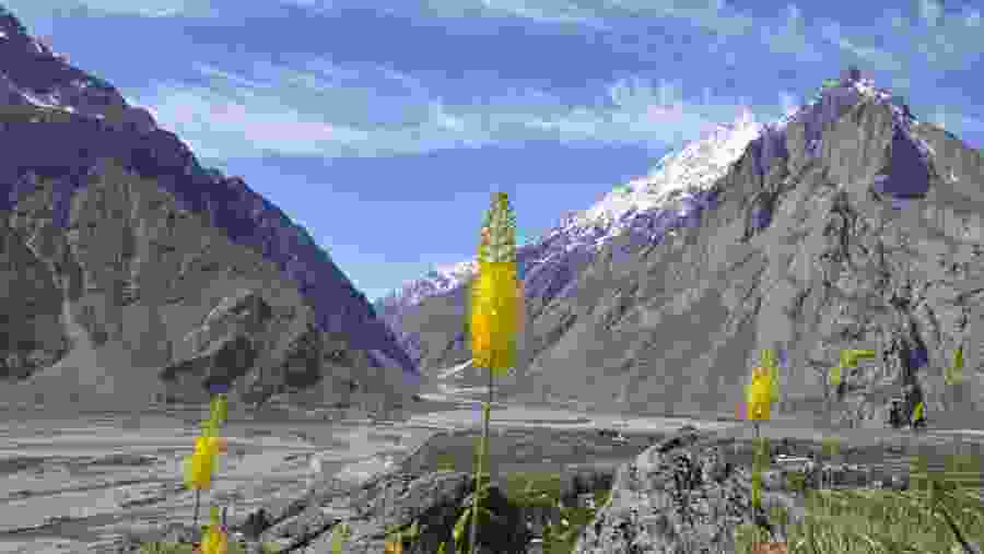 Through The Vamar Mountains