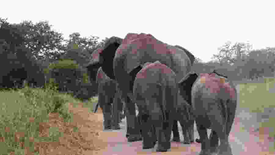 Ngorongoro Conservation Area