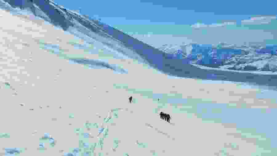 Skiing preparation in Gudauri