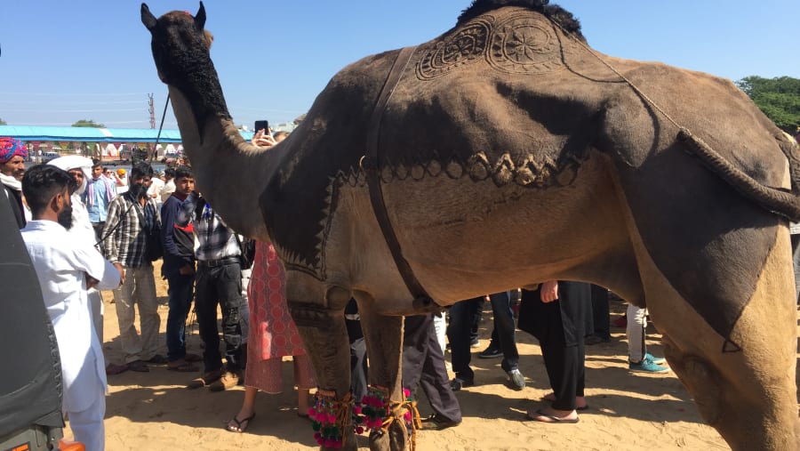 Pushkar Fair