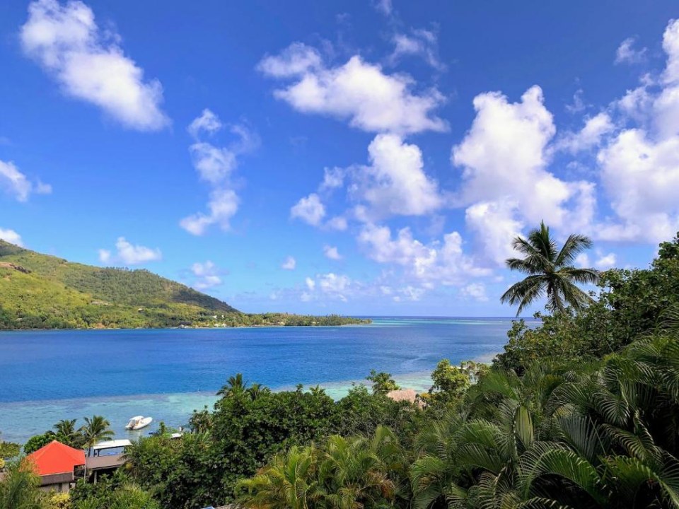 Belvedere lookout, Opunohu Bay, Pao Pao Village beneath Mount Rotui
