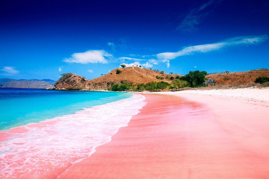 Rinca Island treks, Komodo Island encounters, Pink Beach snorkelling, Manta Point mantas