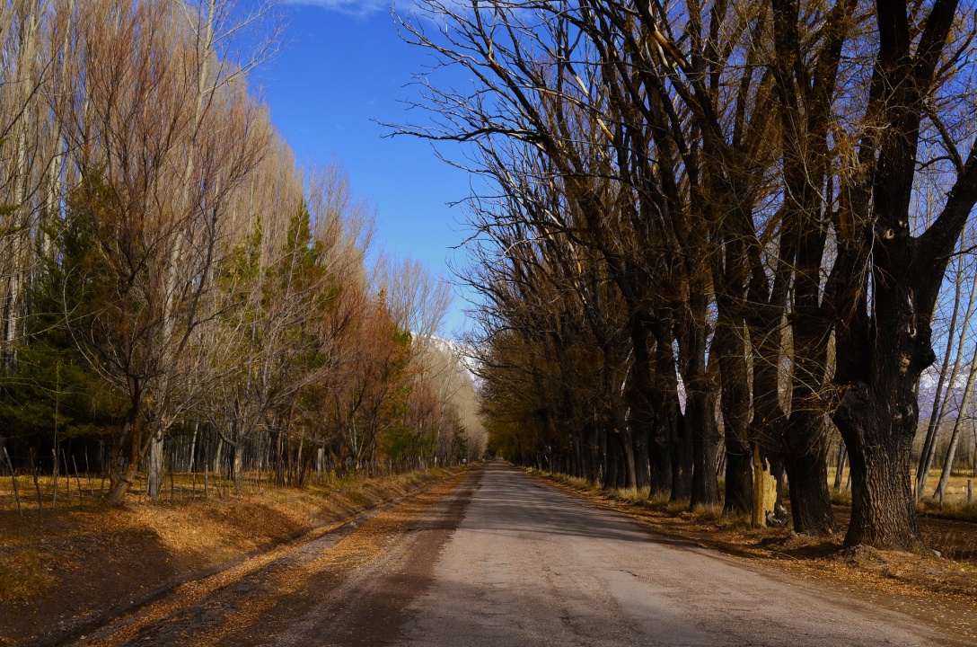 Parque O'Higgins, Cerro de la Gloria, Museo del Área Fundacional, Centro Cívico