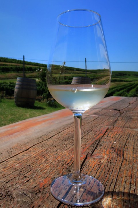 Vineyards of Dealu Mare, Bellu Manor Museum, Ceptura wineries