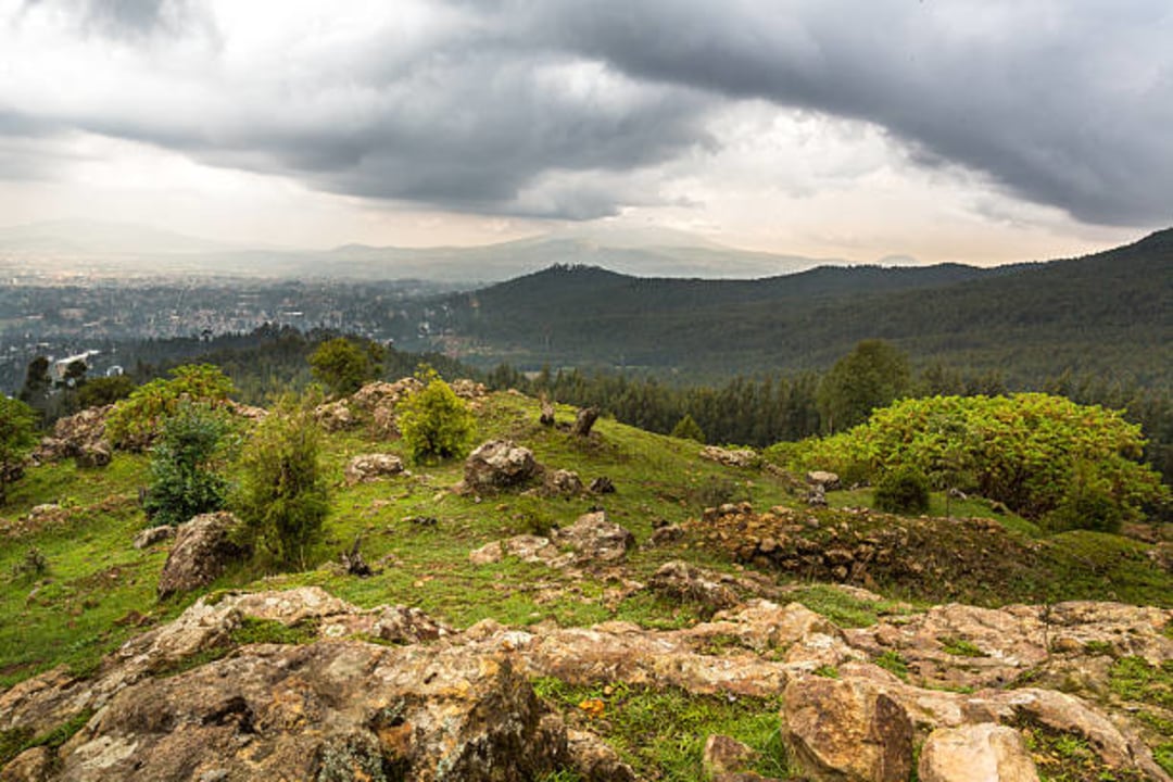 National Museum of Ethiopia, Holy Trinity Cathedral (Addis Ababa), Addis Mercato, Mount Entoto