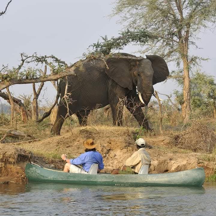 Lower Zambezi National Park, Zambezi River canoeing, Busanga Plains