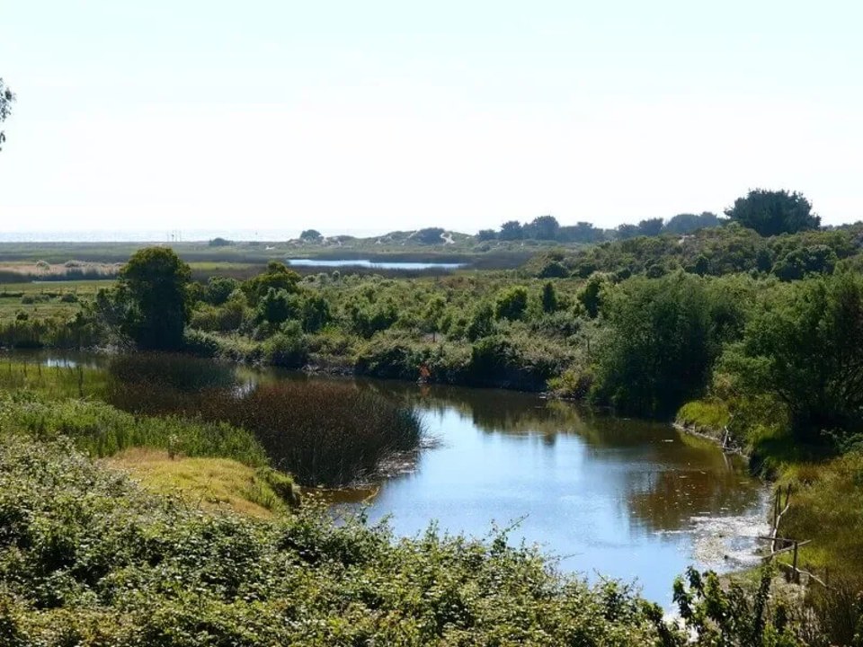 Mantagua Wetland, Posada del Parque, Ritoque dunes, Pacific Ocean