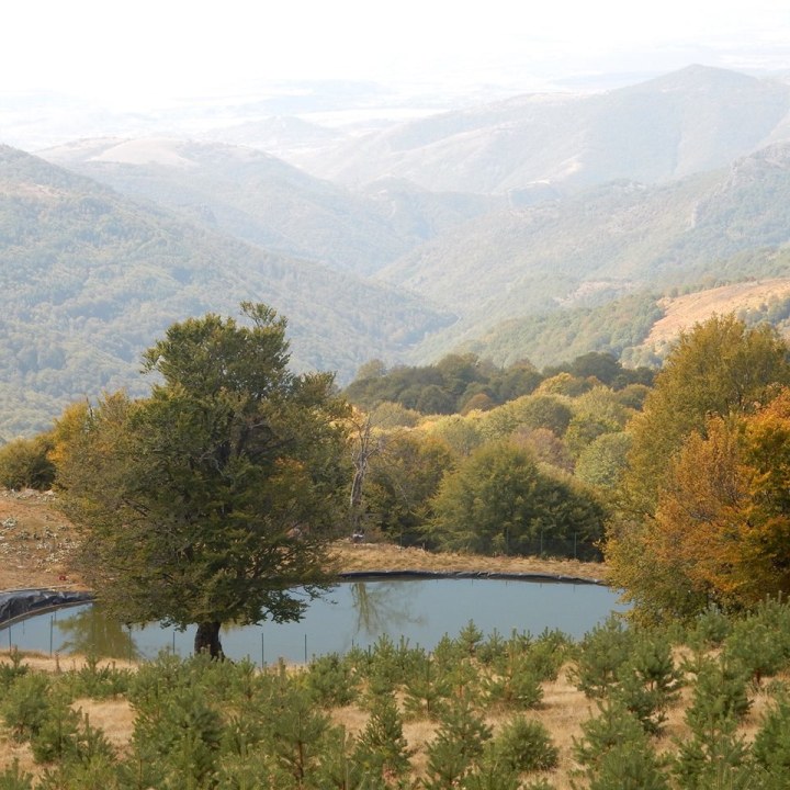 Osogovo Mountains, Zletovska River and its waterfalls, surrounding countryside