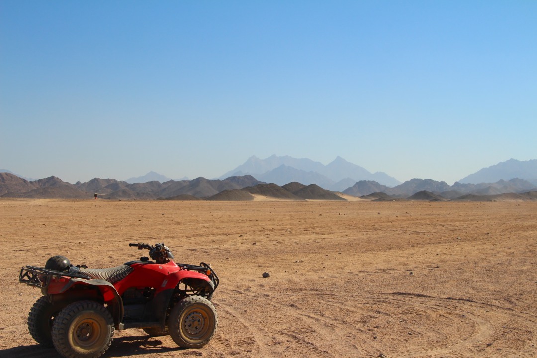 Palmeraie of Marrakech, palm grove of nearly 100,000 palm trees, traditional Berber villages