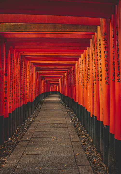 Fushimi Inari-taisha, Kinkaku-ji, Arashiyama Bamboo Grove, Gion