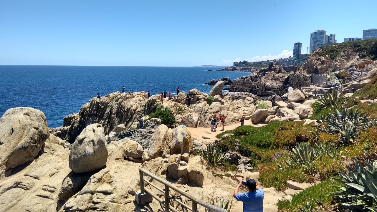 Quinta Vergara gardens, Palacio Vergara, Reñaca beach, Reloj de flores