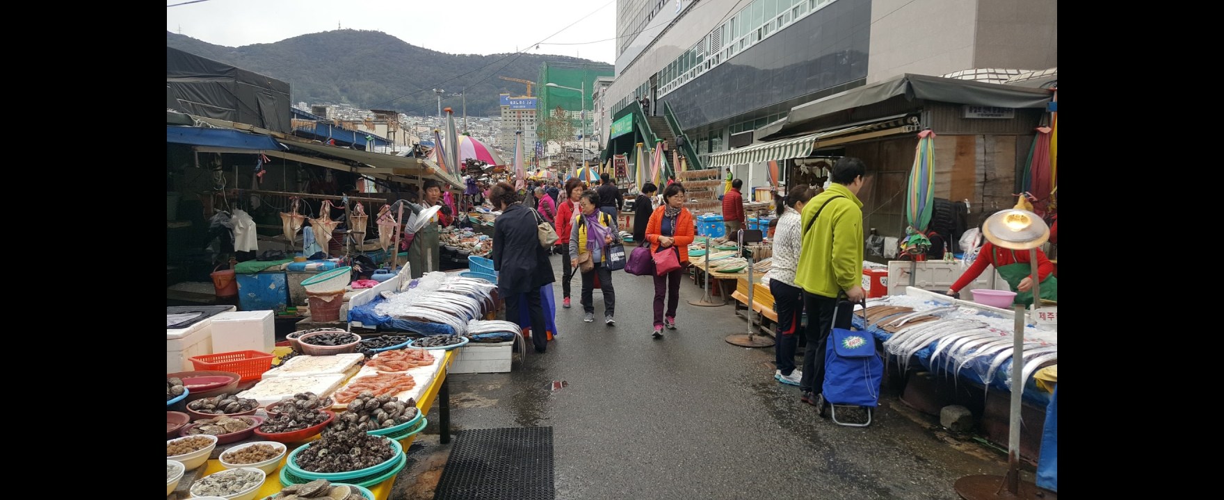 Jagalchi Market, Busan Gamcheon Culture Village, Haeundae Beach, Haedong Yonggungsa Temple