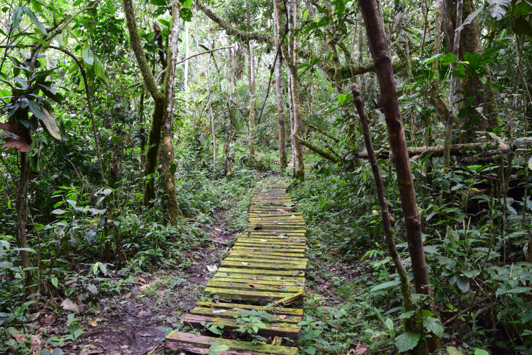 Ziwa Rhino Sanctuary, River Nile, Kyambura Gorge, Bwindi Impenetrable National Park
