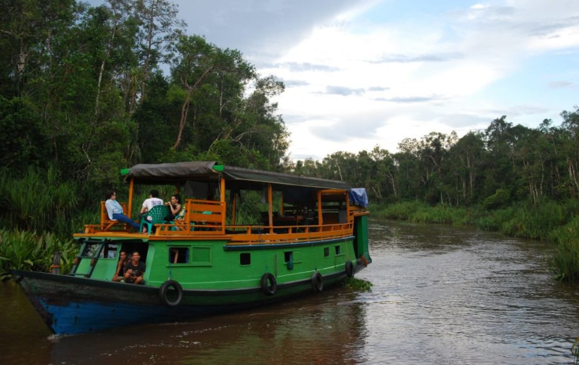 Klotok on the Sekonyer River, Tanjung Harapan Camp feeding platform, Camp Leakey, Pesalat Camp tree-planting