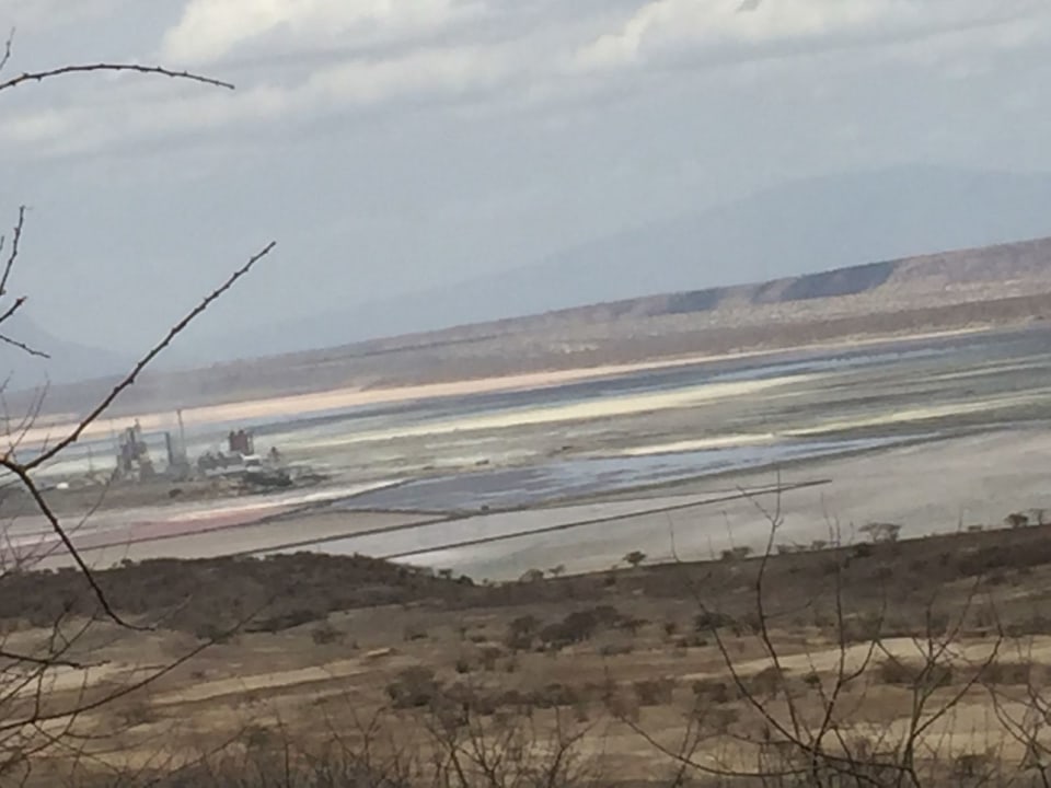 1-Day Lake Magadi Hot Springs Tour from Nairobi with Flamingos - tourHQ