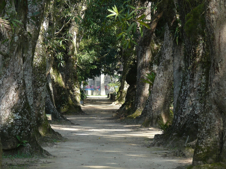 Botanical Garden, Parque Lage, Corcovado Mountain, Christ the Redeemer (statue)