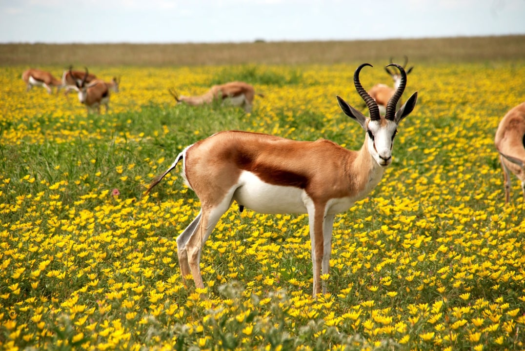 Murchison Falls, Nile boat cruise, Ziwa Rhino Sanctuary