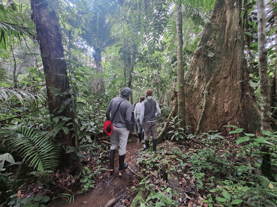 Ceibo Lagoon, Aguarico River, La Bocana, Igapó flooded forest