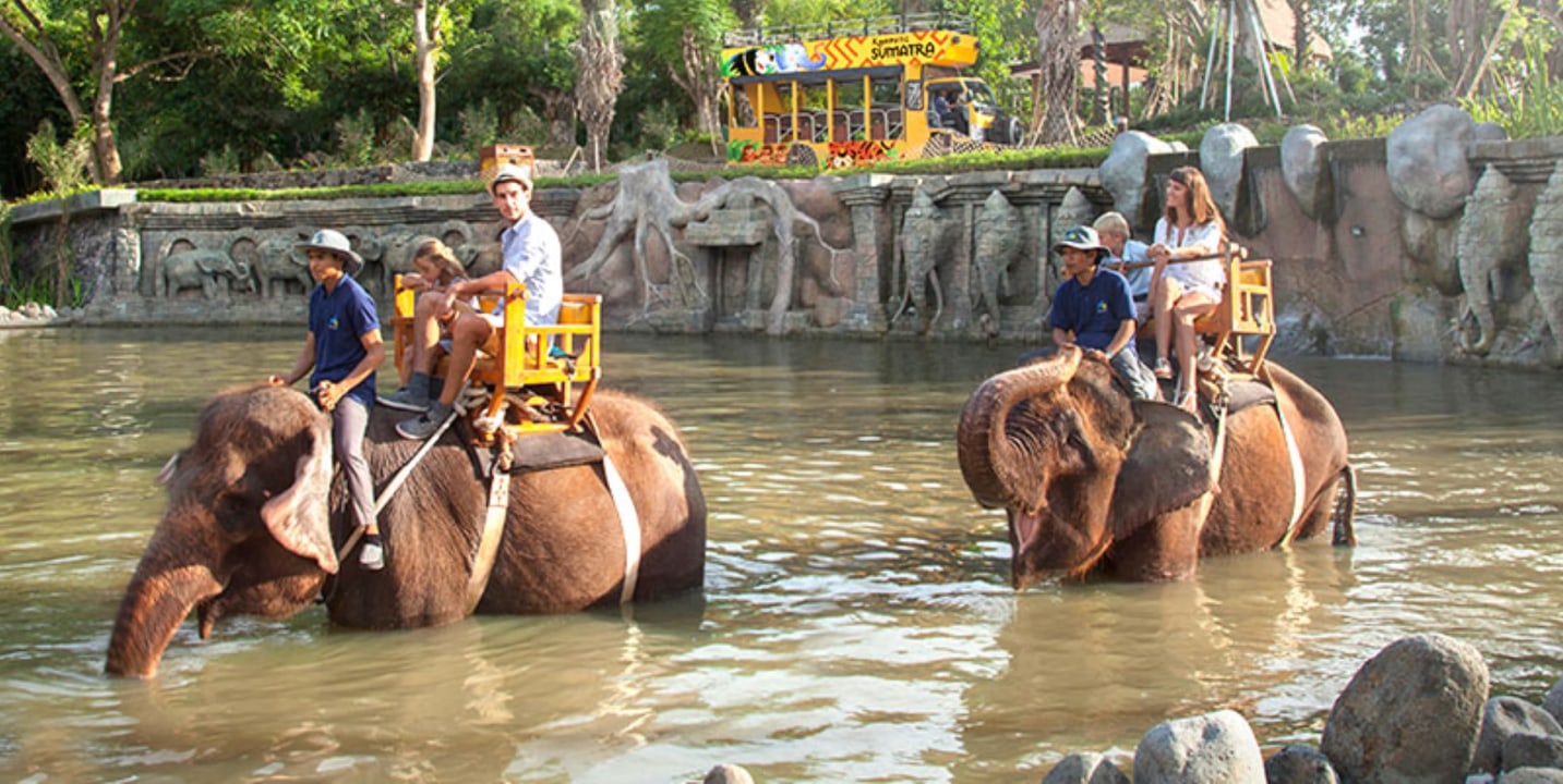 Bali Zoo, Celuk village jewellery museum, Batuan village painting, Blangsinga waterfall