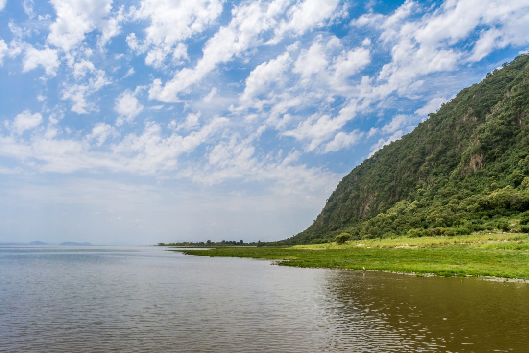 Lake Manyara, Serengeti National Park plains, Ngorongoro Crater wildlife, Kikuletwa Hot Springs