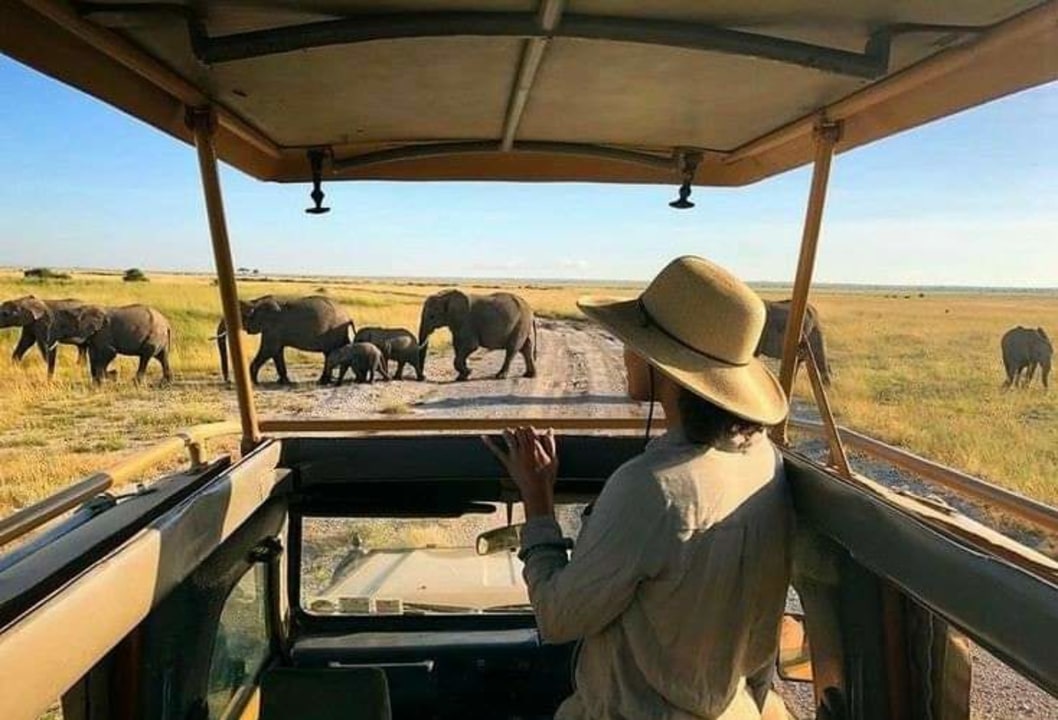 Great Rift Valley escarpments, Masai Mara grasslands, Mara River crossings