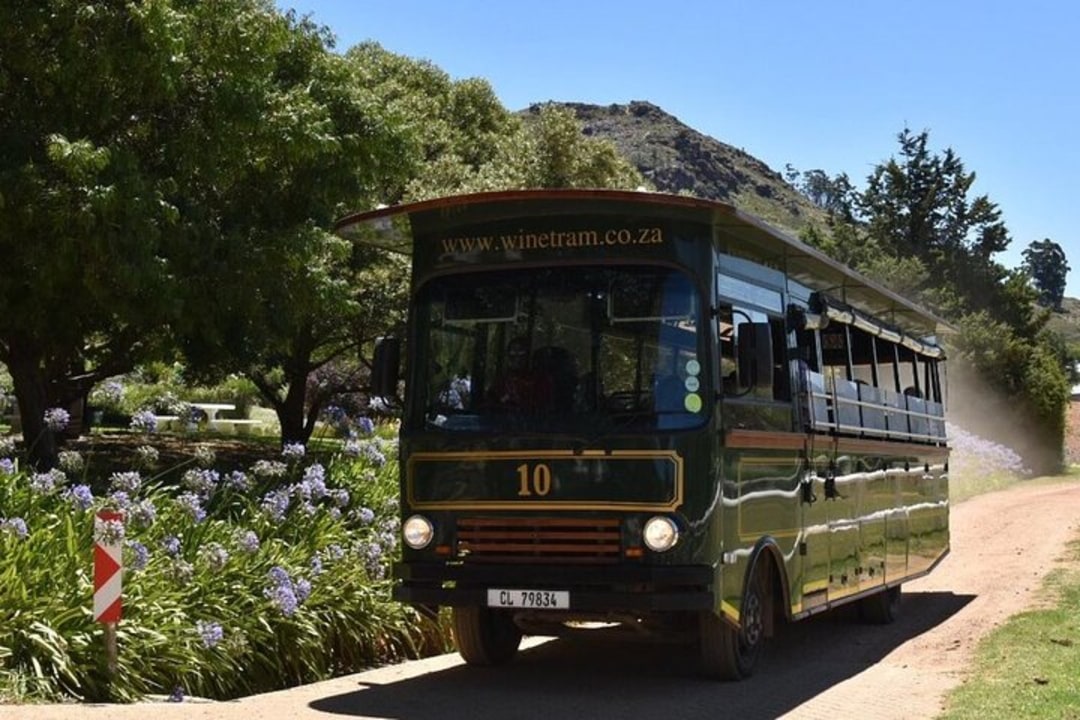 Franschhoek Valley vineyards, Groot Drakenstein station tram stops, V&A Waterfront transfer