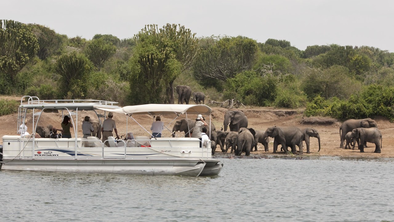 Murchison Falls, Kazinga Channel boat safari, Bwindi Impenetrable National Park gorilla country, Lake Bunyonyi terraced islands