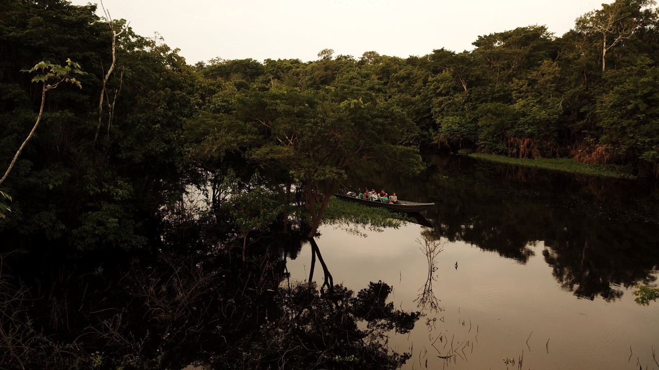 Manaus, Meeting of Waters, Anavilhanas Archipelago