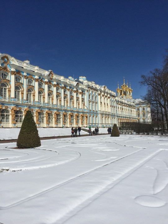 Palace Square departure, Hermitage Museum galleries, Winter Palace state rooms, Catherine Palace in Tsarskoye Selo