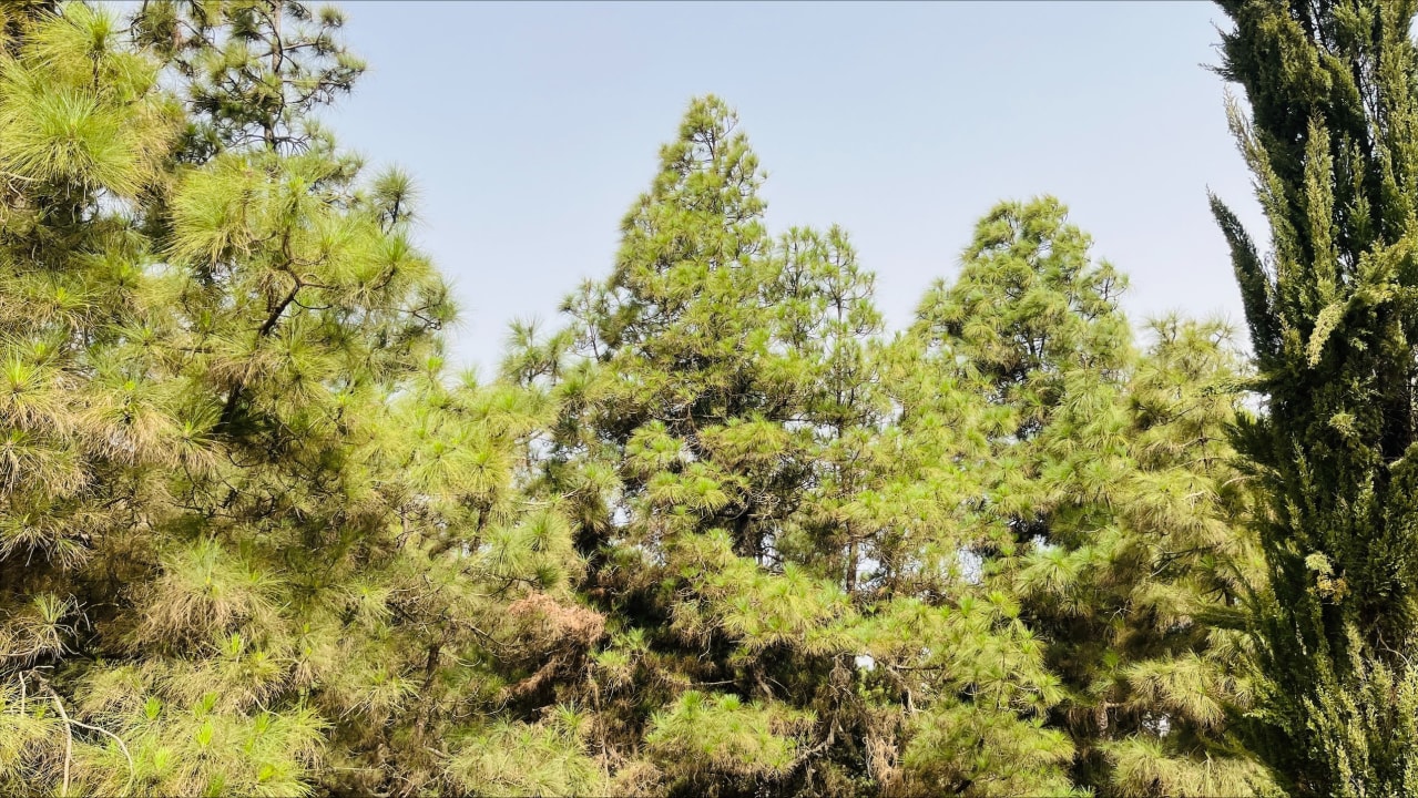 Serra Malagueta Natural Park, Principal Village, Praia, green valley landscapes