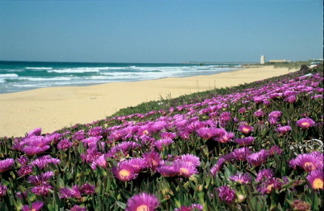Bolonia Beach, Baelo Claudia ruins, Playa El Palmar, Vejer de la Frontera hilltop
