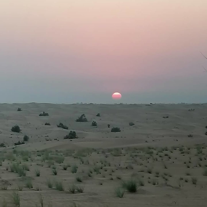 Sunrise Viewing, golden sand dunes, Camel Ride