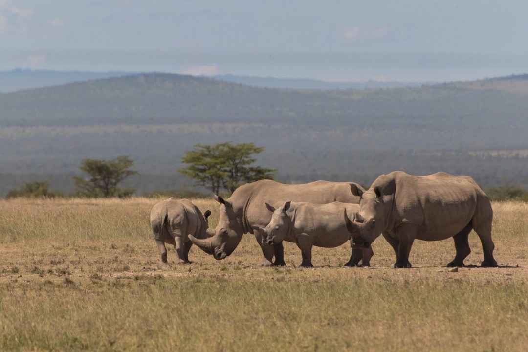 Equator Marker, Nanyuki, Ol Pejeta Conservancy, Serena Sweetwaters Lodge