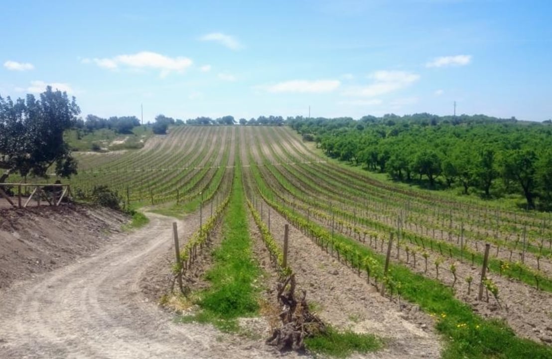 Sicilian Baglio, Cerasuolo DOCG area, Iblean landscape, dry-stone walls