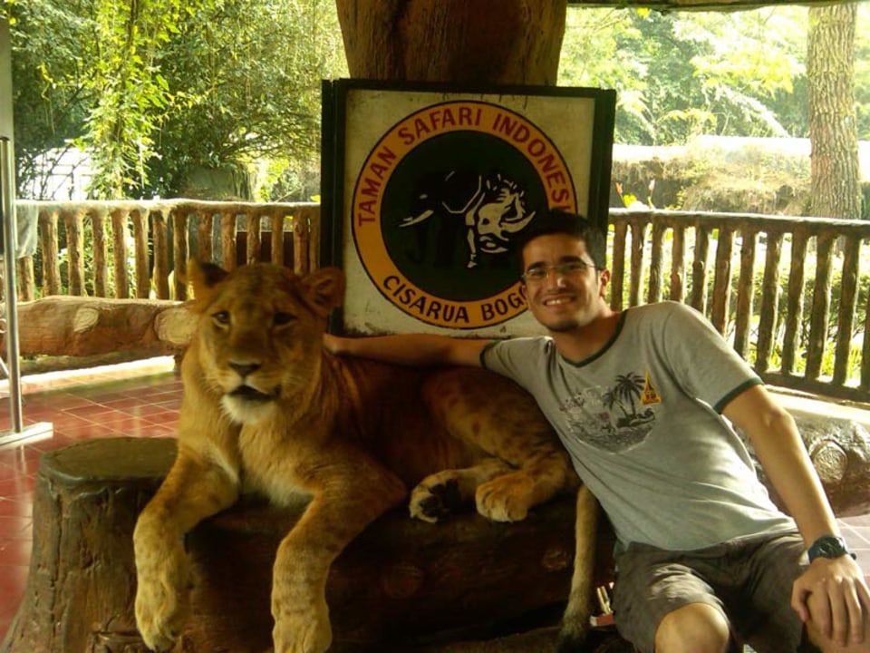 Taman Safari wildlife drive, Baby Zoo lion cubs, Jaksa Waterfalls, Puncak tea plantations