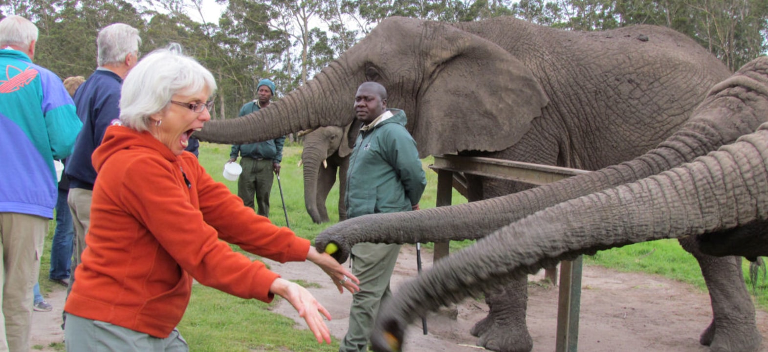 Stoney Point penguins, Point of Human Origin Cave, Knysna Elephant Park, Bloukrans Bridge