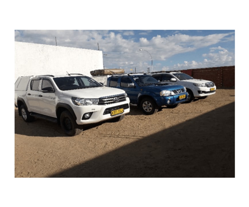 Sossusvlei sand dunes, Big Daddy dune, Deadvlei salt pan